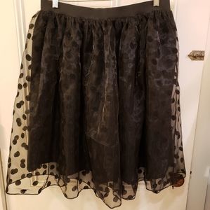 NWT Magnolia Park Black Swiss Dot Skirt